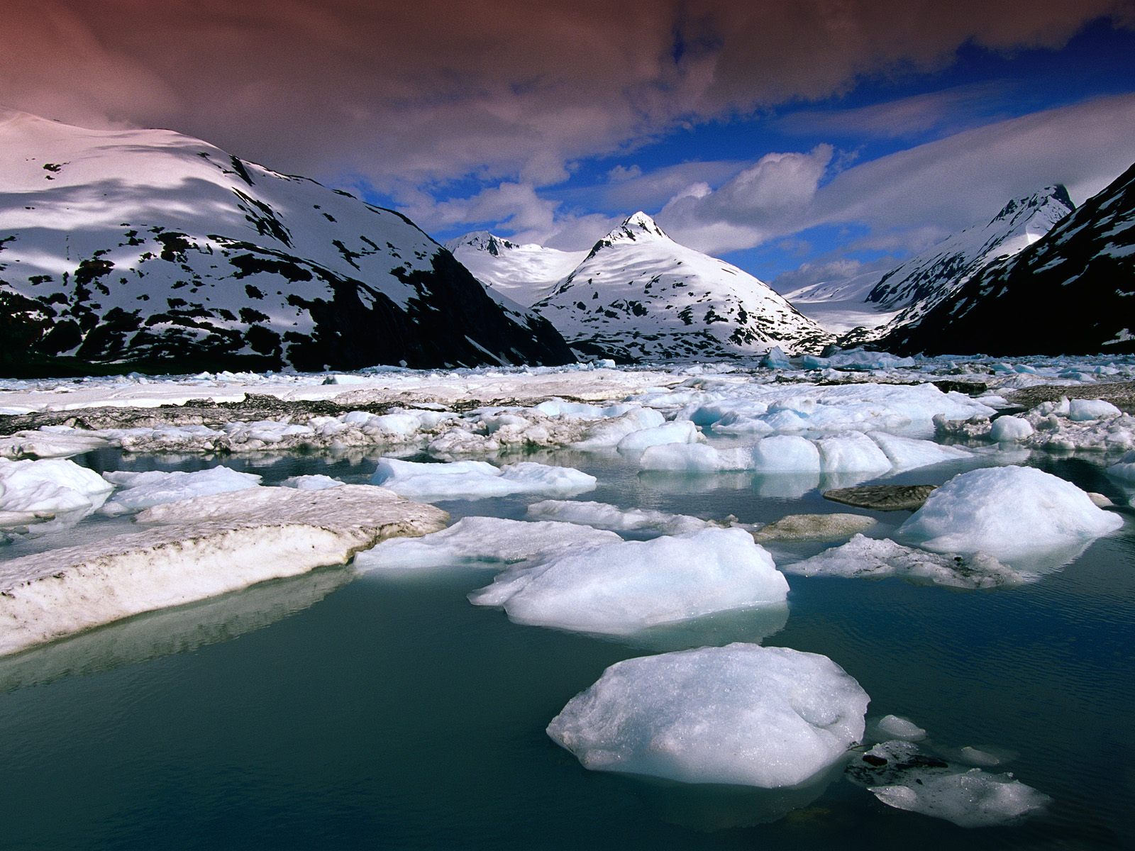 BLONy