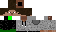 HPvgp