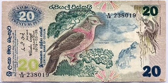 dOVdz