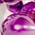 h5uUF