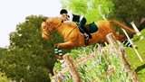 hCjCwt