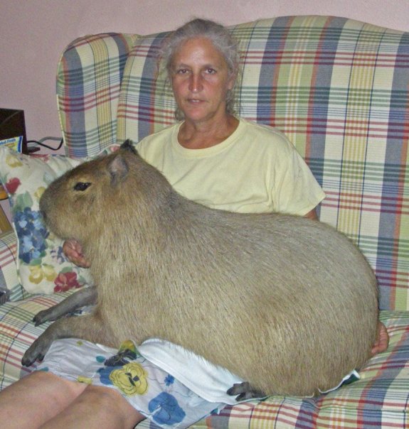 miuW3
