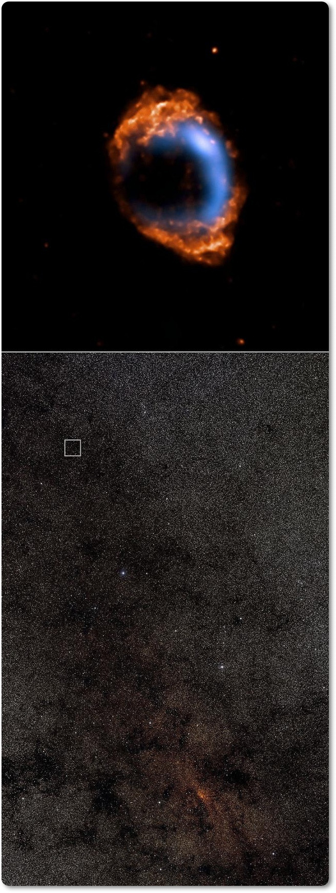 o241u