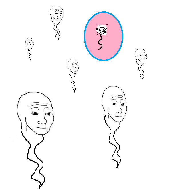 5HoYS