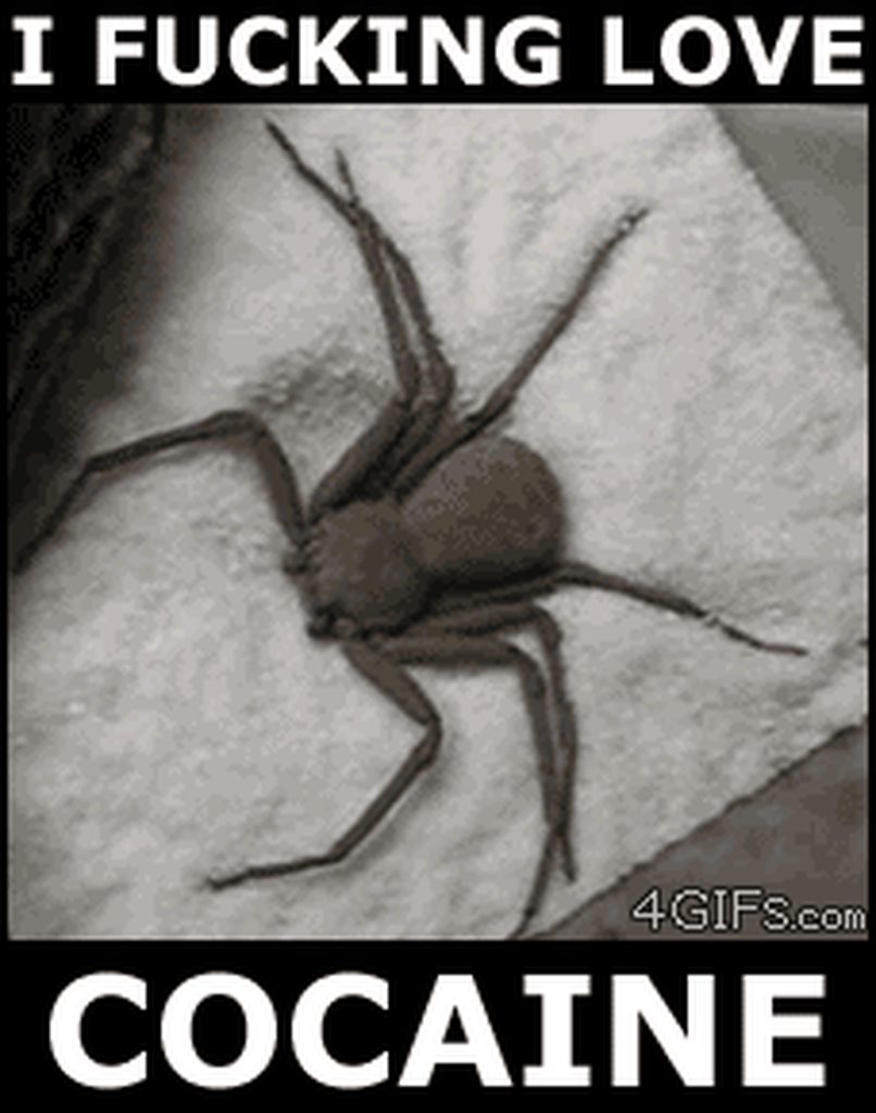 5oo2fh