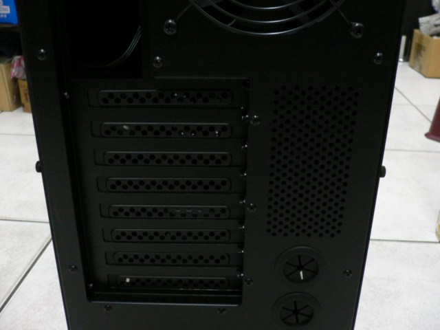 6Tcat