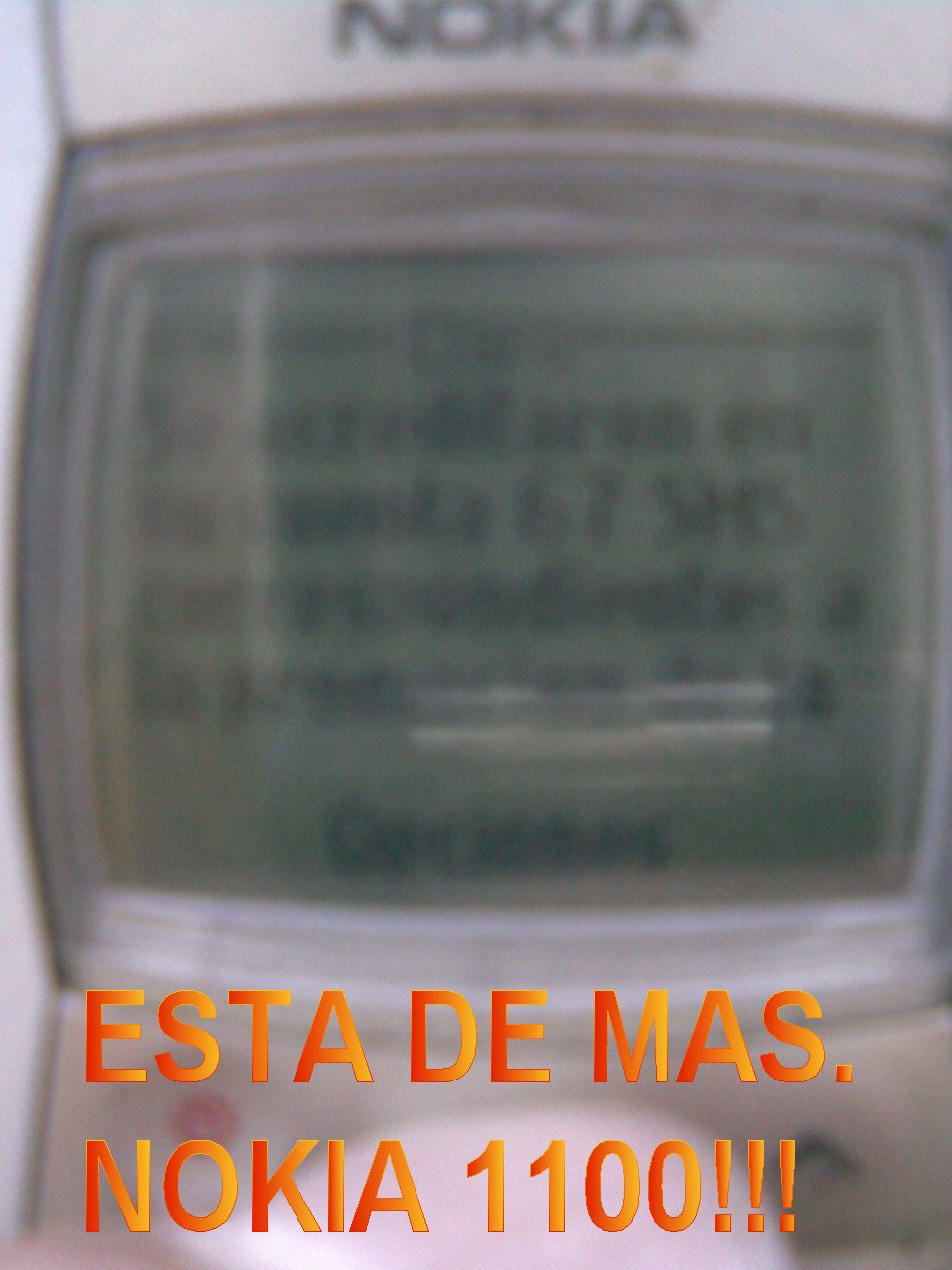 8zdvM