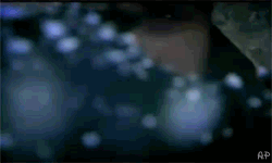 9Rkgi
