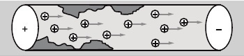 BpY91