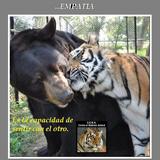 EDXTRb