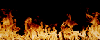 EzuR2