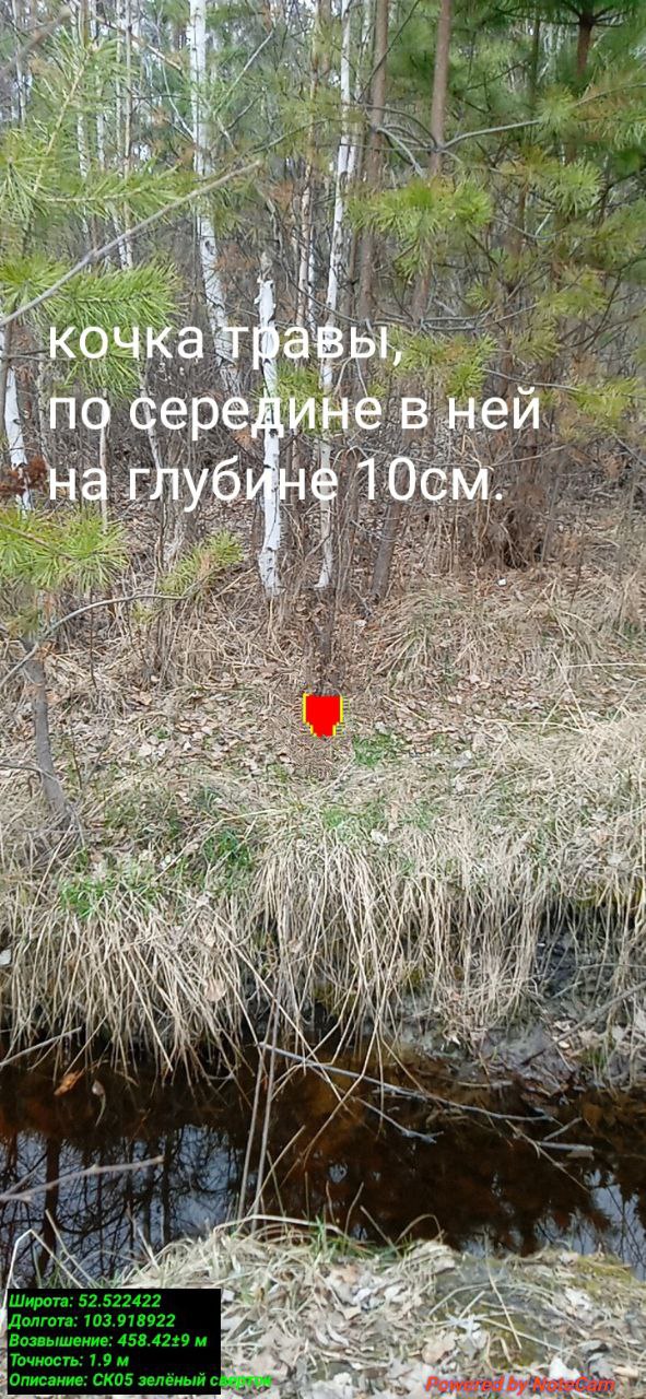 LnRTGyT