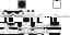 PmION