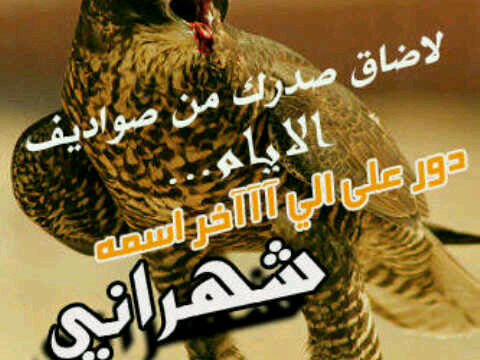 RUFn3