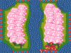 SH598