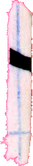 koRaF