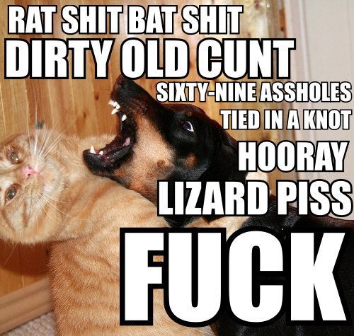 lPcOu