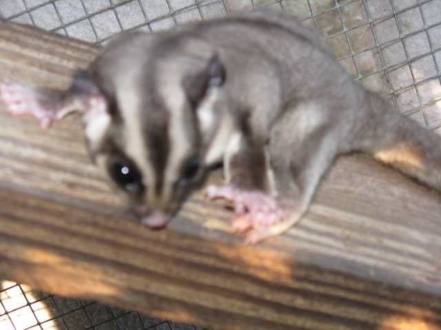 linNd