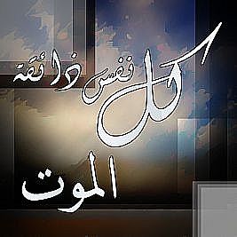 mEcQV