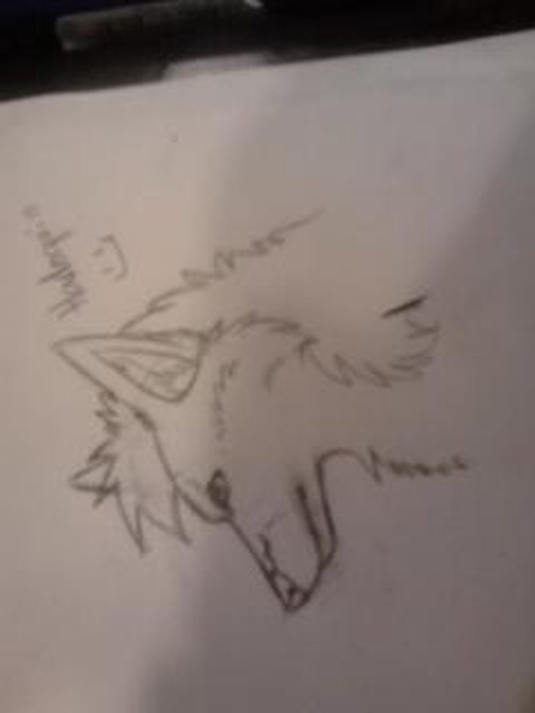 myn6ch