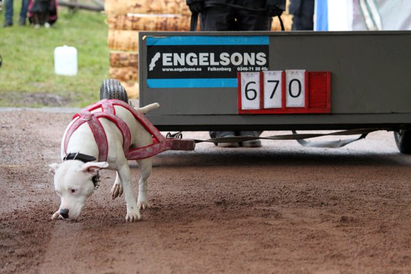 va2ev