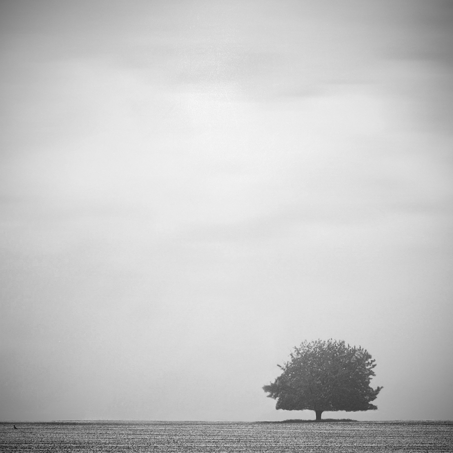 xSMgN