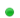 zsRlR